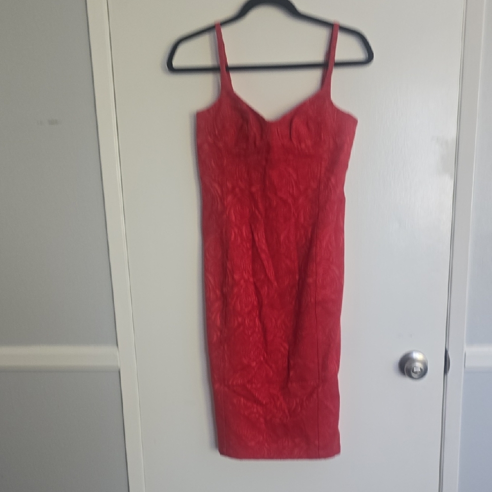 Rouje Dress 36